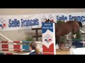 Tabac des Forets
