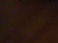 SCREAM QUEEN
