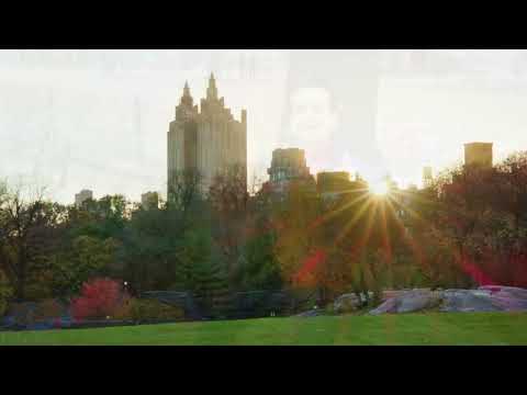 Meditation for inner peace in Central Park - New Y
