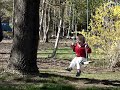Spring Swing