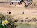 Carmen de Pate, Huac-huas,Ayacucho - Videos Zeita
