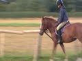 Flat Work August '09