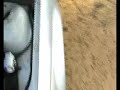 M54B30 idle - normal sound?
