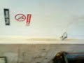 Borgas in Hoover blow job