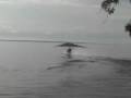 videos de Picture 095
