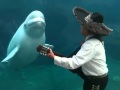 Mariachi Connecticut Serenades a Beluga Whale ...