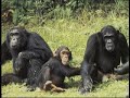 A New Look at Biodiversity: Issues for the Future A New Look at Biodiversity: Issues for the Future