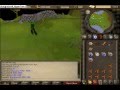 Lv 3 clue scroll