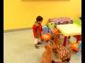 videos de Nibu