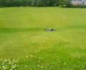 gaz rolling down the hill