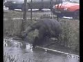 najebany Wiesiek