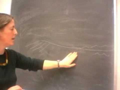 Walther's Law