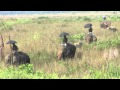 Chitwan National Park and Sapana Lodge, Nepal ...
