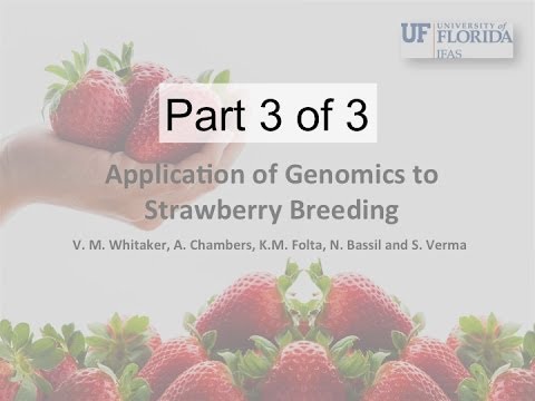 how to apply for qtls