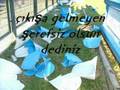 bozüyük-inegöl