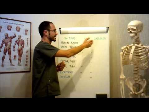 umh1729 2012-13 Lec003 Fracturas