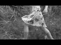Elin Ruth Sigvardsson - How You Dug Your Own Grave Elin Ruth Sigvardsson - How You Dug Your Own Grave
