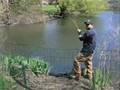 Carp fishing with Sponge Bob