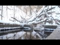 Running Water - Springs of the St. Croix River ...
