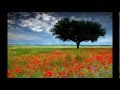 Beautiful Day - Canción del anuncio de Supermercados DIA