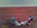 videos de shoe fights: stitch v.s mickey mouse.wmv