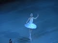 Swan_Lake Vishneva Kolb