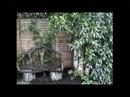 Our Garden