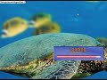 Game Maker: how to make pet games part2 Game Maker: how to make pet games part2