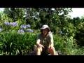 WWOOF Traveling with Brady Carlin