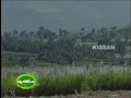 sugarcane cultivation and jaggery preparation at Marayoor