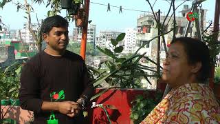 ছাদ বাগান(roof garden)- গৃহিণীর বছরে আয় ৪ লাখ টাকা- Basic of roof gardening