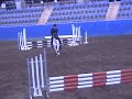 showjumping SIEC 14th August 08