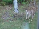 still image from video