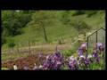 videos de Thermen imTrentino- Rocegno