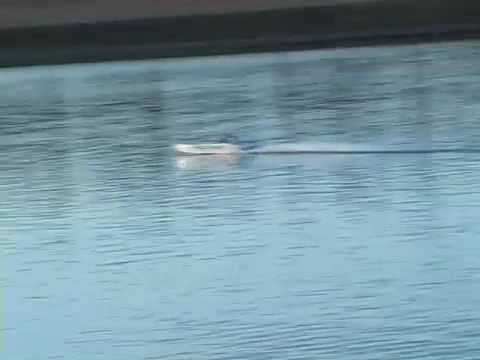 Venom King of Shaves Petrol Boat