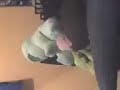 Froggie on the side on the chair on the side... Froggie on the side on the chair on the side...