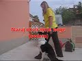 video trcks: vse nazaj