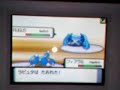 ??? vs ??? (Friend) Round1(1/2) - Pokemon Wi-Fi battle movie ??? vs ??? (Friend) Round1(1/2) - Pokemon Wi-Fi battle movie