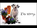 Dain - Sorry