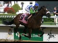 Barbaro-the heart of a champion Barbaro-the heart of a champion