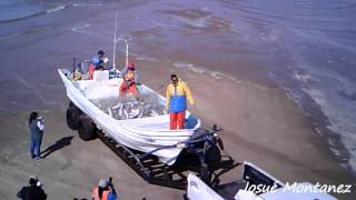 Pesca de Curvina. Pescadores del Golfo de Santa Clara, primera marea del mes de marzo de 2016.