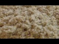 Dry Ice Hash Extraction
