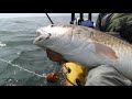 "Kayak Fishing the Chesapeake Bay" DVD trailer - free flv video @ vwatch.tv