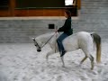 Gepaneerd paard en Shafai rijden zonder zadel Gepaneerd paard en Shafai rijden zonder zadel