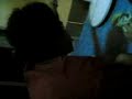 blackbugsonfight