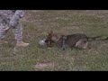 MOV030
