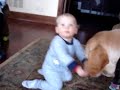 Dog teaching baby how to play