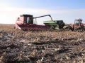 Harvest-Iowa-Style-0