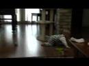 Tyler crawls (with knees!)