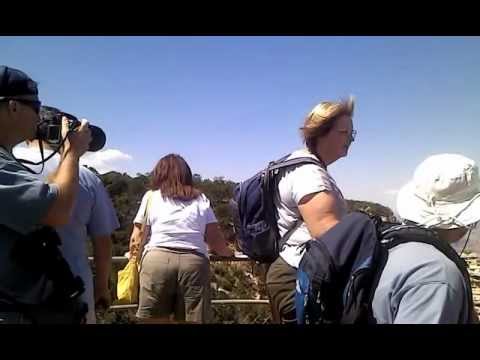 grand national results